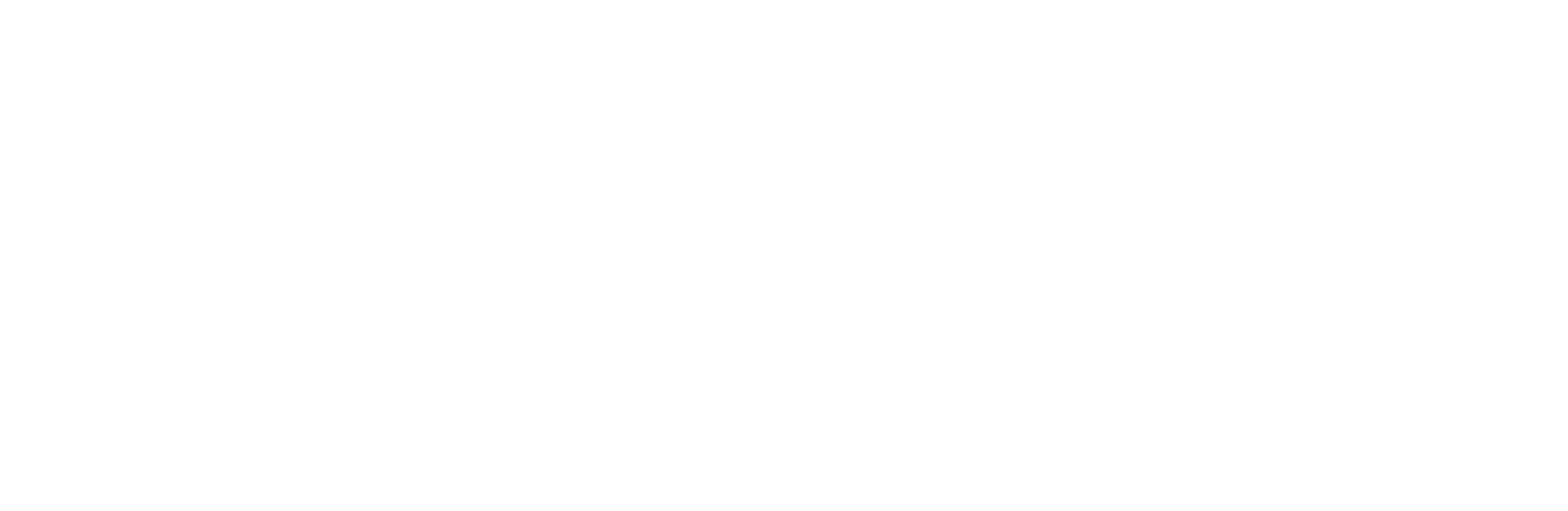 Southlink Strategic